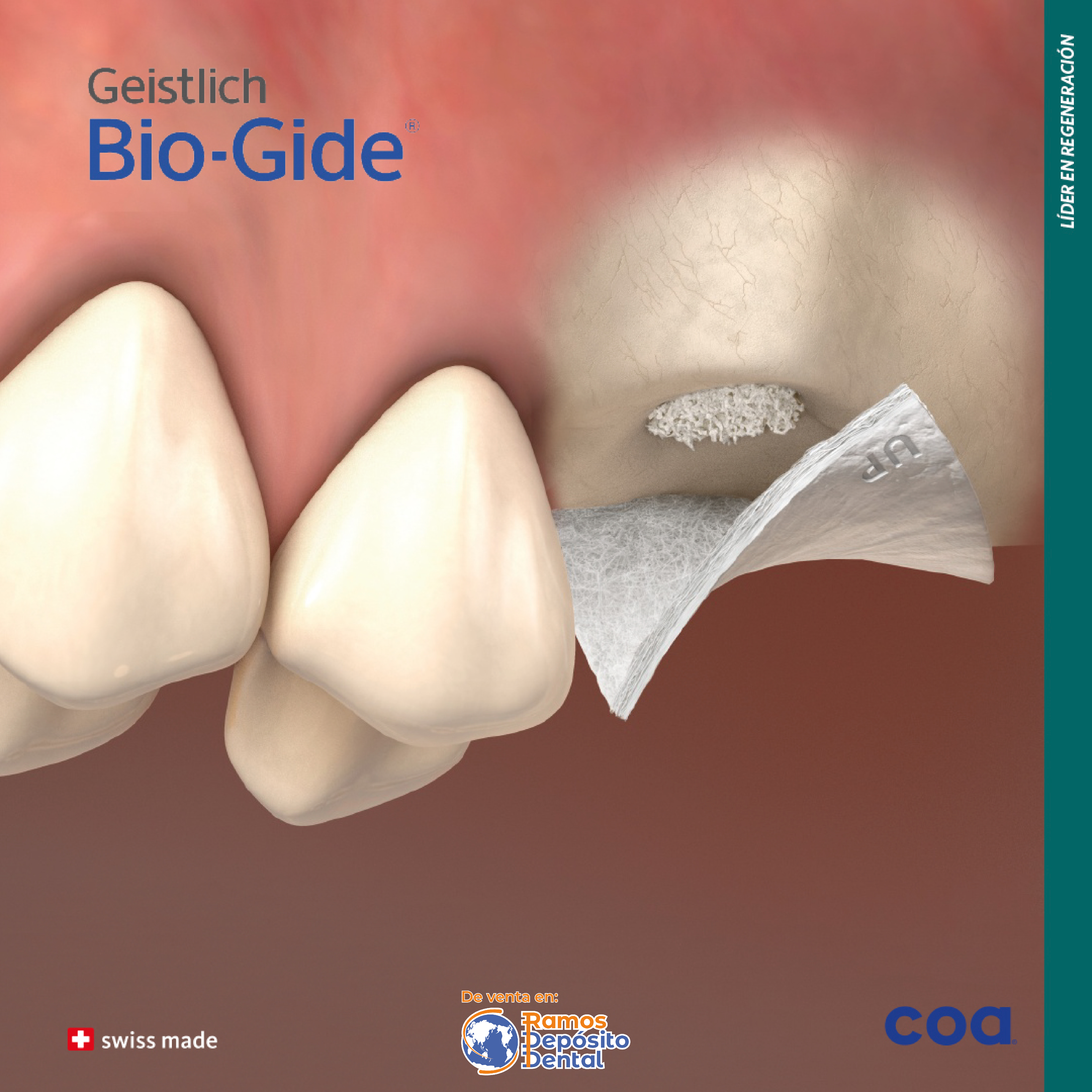 Bio-Gide Membrana 13×25 Geistlich