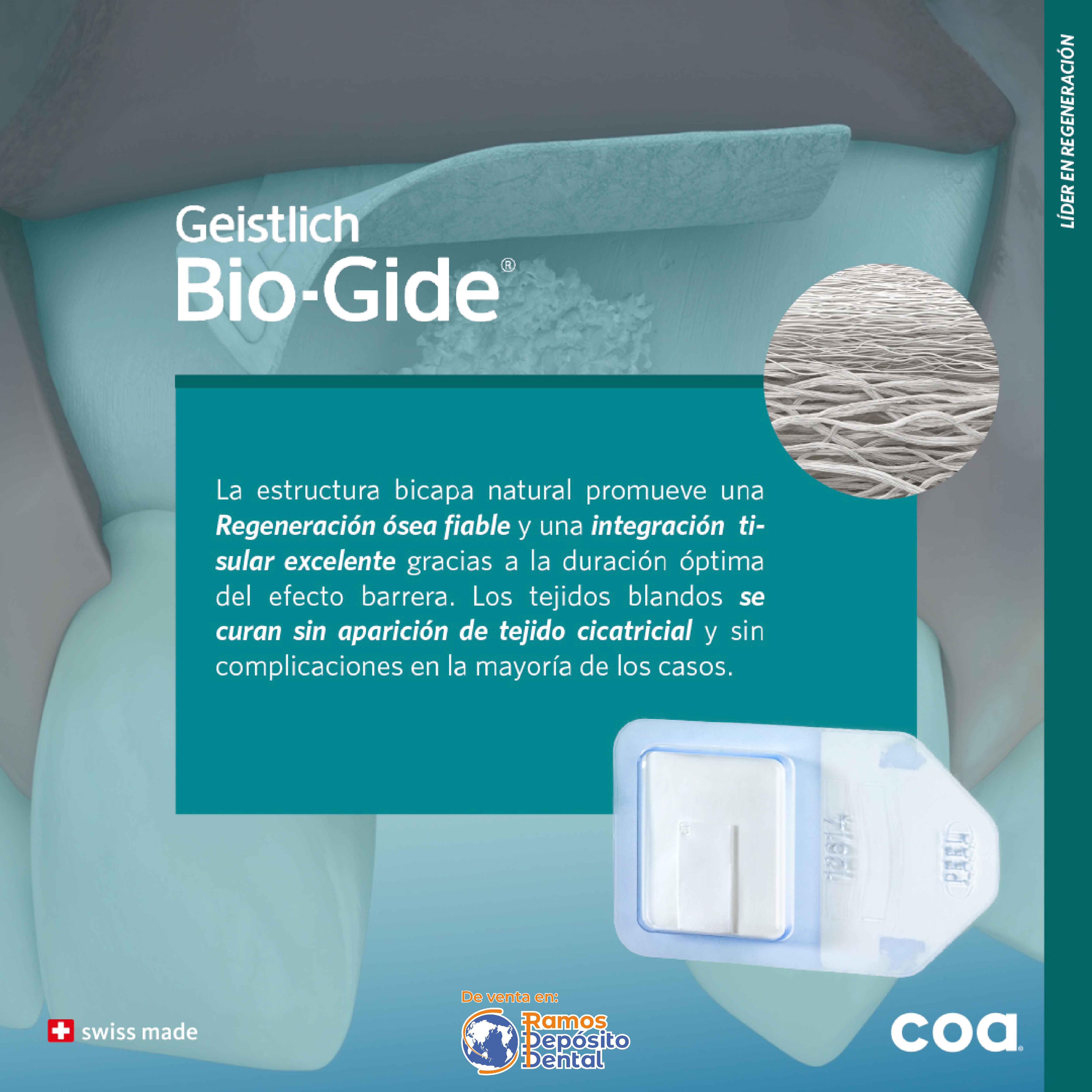 Membrana Bio Gide 2 (1)
